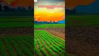 #nature #vidio #anuj #vlog