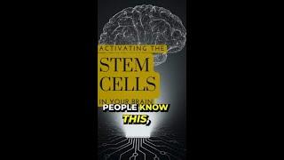 Activating your Stem Cells