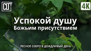 Не можешь уснуть? Засыпай, слушая Божье Слово для исцеления и  успокоения души под дождь | Relaxing