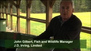 JDI Atlantic Salmon and Brook Trout Conservation