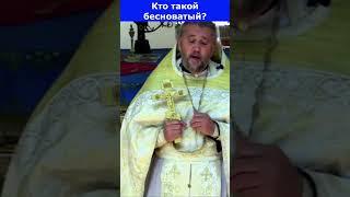 КТО ТАКОЙ БЕСНОВАТЫЙ? Священник Игорь Сильченков.