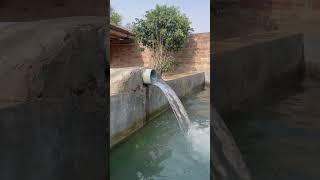 #lahore #vibes #swimming#tubewell