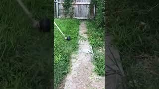 Overgrown edging