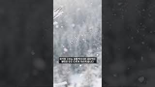 눈송이의 모양은 왜 다 다를까요? #상식 #지식 #잡학지식 #눈송이