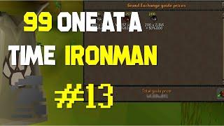 A SHED load of chins (Ironfficient #13) - Hunter 5