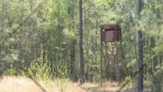 SC Hunting Retreat: Land For Sale (Price Reduced)