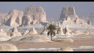 bahariya oasis