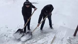 Творить или вытворять?