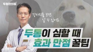 집에서 머리 아플 때 두통 없애는 법 한의사가 알려주는 두통꿀팁