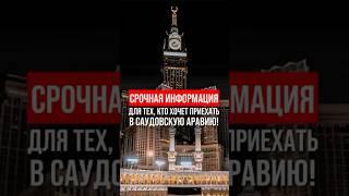 Вакцинация в Саудию 2025