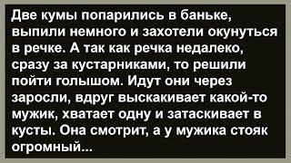 Как две кумы к речке ходили... Сборник анекдотов! Юмор! Позитив!