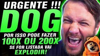  100X A CRIPTOMOEDA QUE PODE APOSENTAR E FAZER MILIONÁRIOS ATÉ 2025 DOG TO THE MOON AUGUSTO BACKES