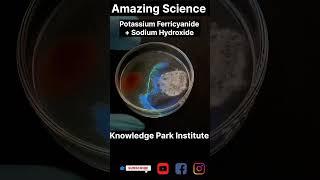 #amazingscience #experiment #viralvideo #viralshorts #viralshortsvideo #colourlight #science