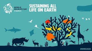 World Wildlife Day 2020 - Sustaining all life on Earth