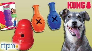 Kong Genius Leo, Genius Mike, and Wobbler Treat Dispensing Dog Toys Review!