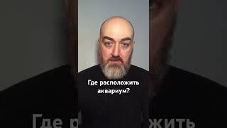 Где расположить аквариум? #васту #юткинпетр #vastu #дом #vastuland #vastutips #домповасту #петрюткин