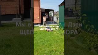 Муж без комплексов Мы в Телеграм ЩЕПОТКА ЮМОРА