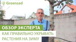 Как правильно укрывать растения на зиму