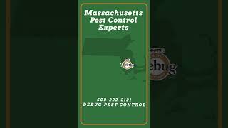 Massachusetts Professional Pest Control