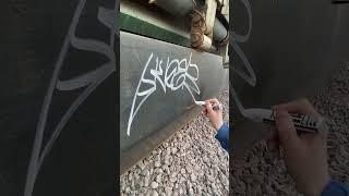 Tag! #graffiti #hiphop #spraydaily #graffitiontrains #freighttrain #graffitiart #fat #rap