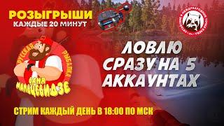 Фармлю на 5 аккаунтах одновременно. Море - 120 яма. Ахтуба - усач и стерлядь. Острог - лещ.