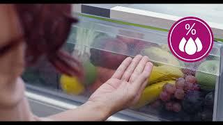 Tips to Prevent Condensation in the Fridge