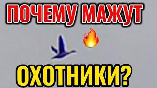 Почему Охотники мажут?