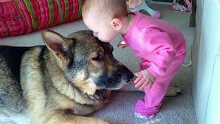 When you are my little friend - Cute Moments Dog and Human