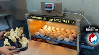 Simple &Easy Idea to Make an Automatic Egg Incubator- Auto eggs Rotation