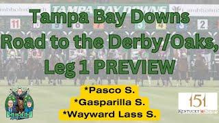 Ep. 388 Picks & Ponies: Tampa Bay Stakes / Middle Pick 4