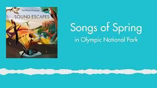 Sound Escapes: Songs of Spring