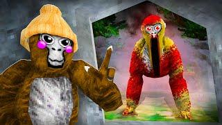 The NEW Gorilla Tag Secret Tunnel Is FINALLY HERE! (LEAKED)