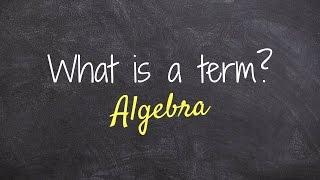 What is a term in Algebra?