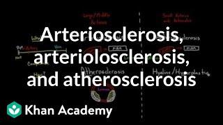 Arteriosclerosis, arteriolosclerosis, and atherosclerosis | Health & Medicine | Khan Academy