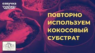 Повторно используем кокосовый субстрат | озвучка Dzagi