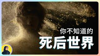 探索 死后世界，带你了解 濒死体验(NDE)