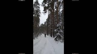 Авсюнино разведка