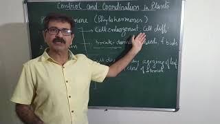 Plant Hormones | CBSE biology | class 10-704 | by Satish Shukla