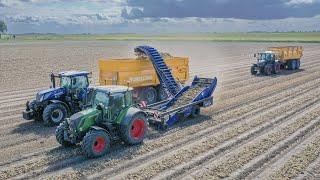 Uien laden met SU Tech, Fendt en VGM | Mts v/d Westeringh | Loading onions w/ SU Tech