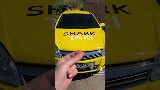  SHARK  #shark #sharktaxi #такси #taxi #украина #шарк