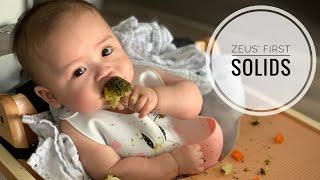 Zeus Eats | Baby Led Weaning (Day 1&2) | 6 months | Zeus, the Baby Vlogger