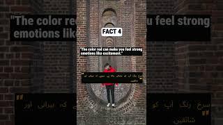 5 Psychological Facts. #omni #bytes #hub #psychologyfacts #informative #video #viral #trending