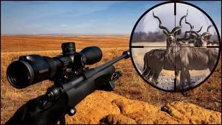 Epic Kudu KILL SHOTS Compilation