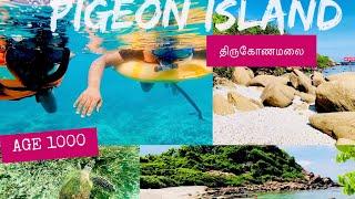 Pigeon island | Snorkeling | Trincomalee | Sri lanka | #srilanka #travel