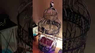 Детский квест "Команда Джека". Игровой реквизит. #квест #детскиеквесты #quest #eventmoscow #event