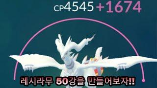 크로스플레임을 배운 레시라무 50강을 만들어보자!! [포켓몬고]