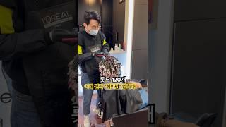 속지마세요! 이게 오리지날 트위스트펌 진짜 히피펌 입니다! #히피펌