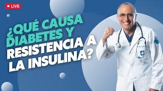 Descubriendo las Causas de la Diabetes y Resistencia a la Insulina" 🩸