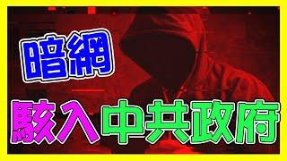 暗網國際駭客動手了！瞄準中共政府機關～