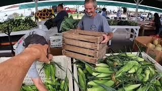 3,000 CORN SOLD in 5 Hours